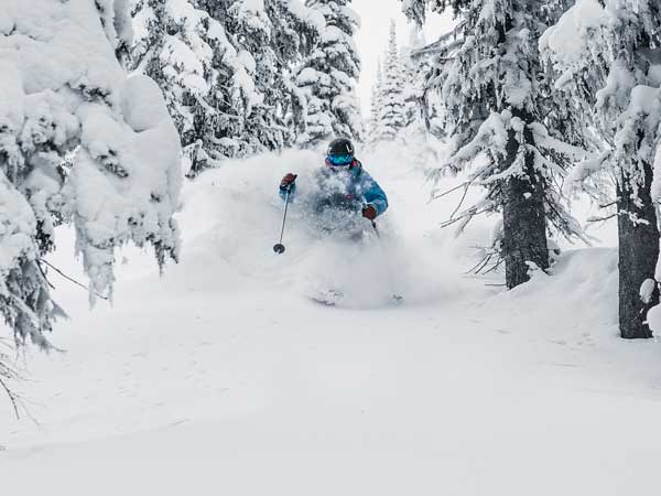 Skier in the snow and trees.